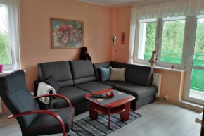 Apartament Arkoński